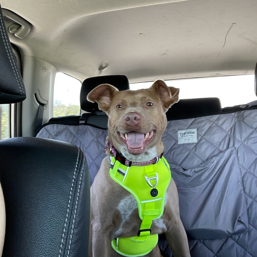 Meet your Posher, April